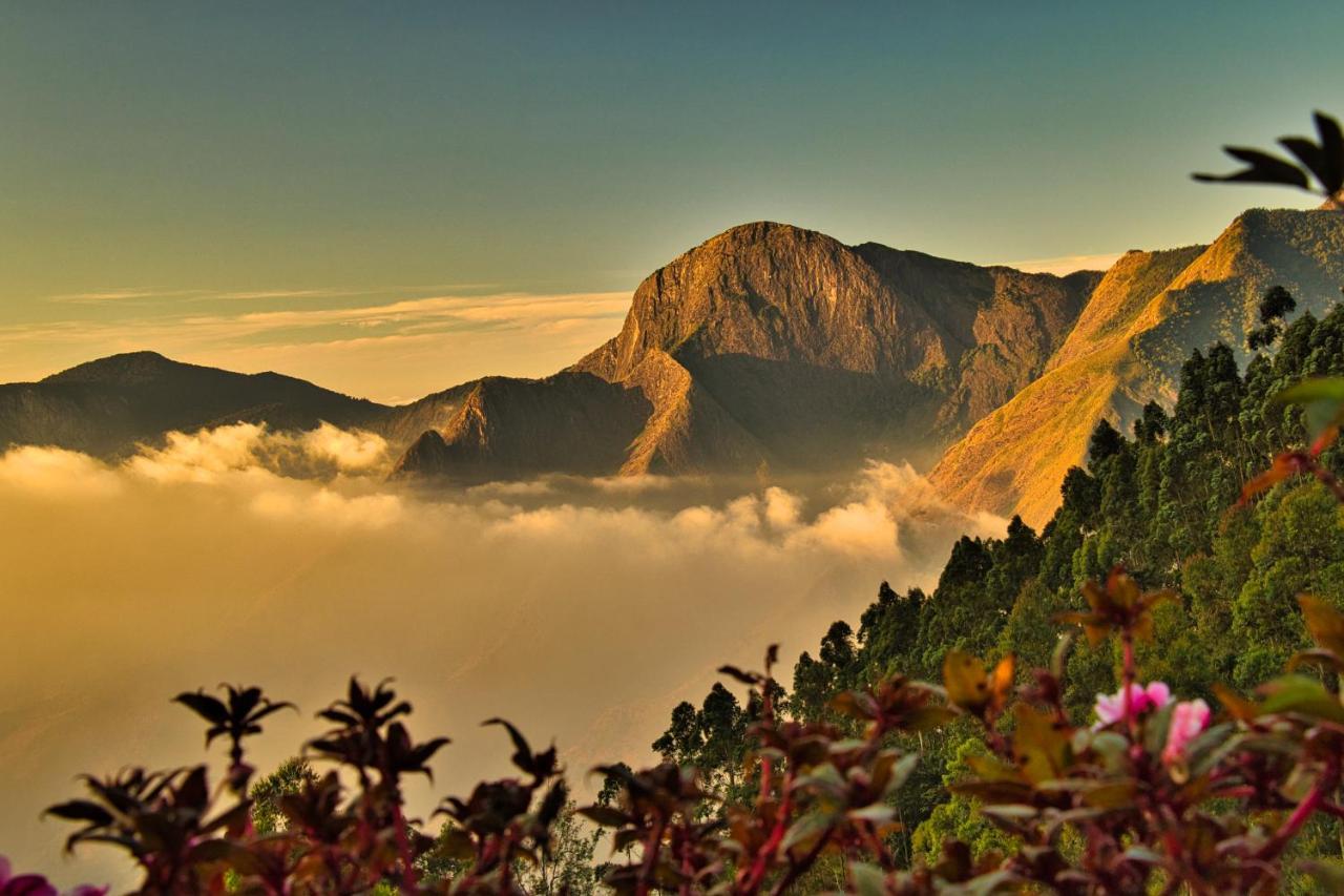 Chandys Drizzle Drops - Munnar Top Station Esterno foto